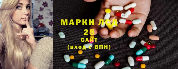 прущие грибы Белая Холуница