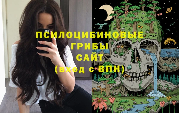 прущие грибы Белая Холуница