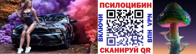 Псилоцибиновые грибы Cubensis Шенкурск